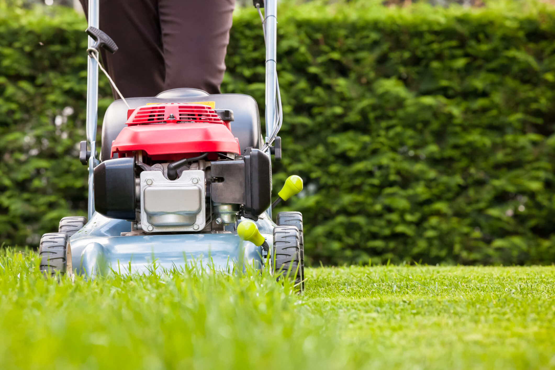 lawn mowing darwin