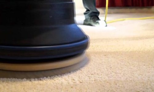 bonnet-cleaning-carpet