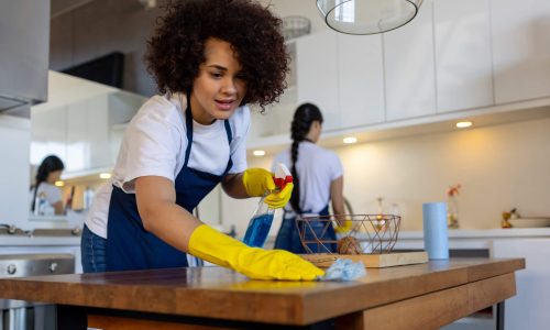 house cleaners