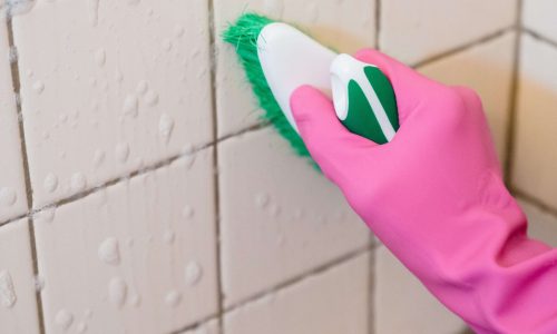 grout cleaning