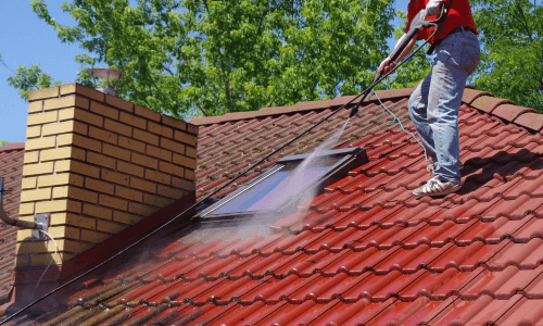 roof cleaning